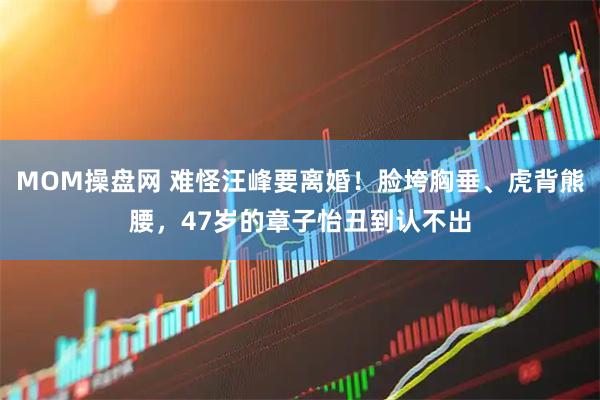 MOM操盘网 难怪汪峰要离婚！脸垮胸垂、虎背熊腰，47岁的章子怡丑到认不出