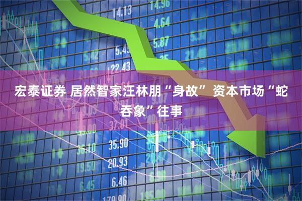 宏泰证券 居然智家汪林朋“身故” 资本市场“蛇吞象”往事