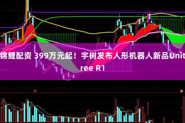 锦鲤配资 399万元起！宇树发布人形机器人新品Unitree R1